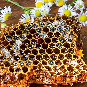 تصویر 4 از قیمت خرید عسل وحشی+ فروش ویژه