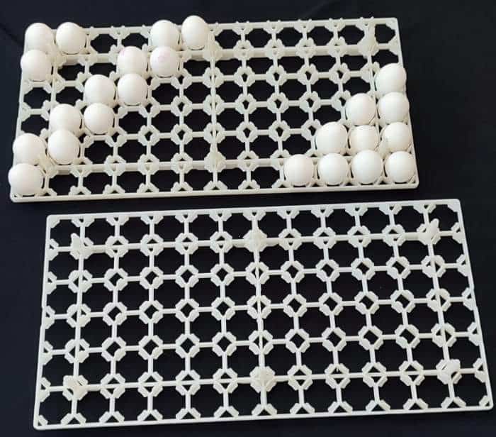 تصویر 1 از خرید و فروش شانه تخم مرغ جوجه کشی شاخک دار با شرایط فوق العاده