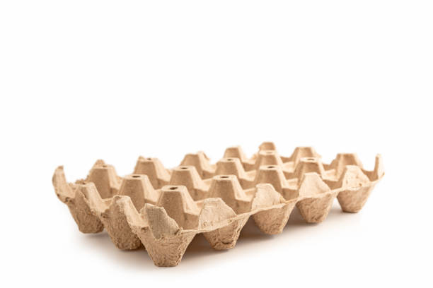 تصویر 2 از قیمت خرید شانه تخم بوقلمون مقوایی با فروش عمده