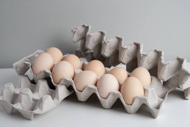 قیمت خرید شانه تخم بوقلمون مقوایی با فروش عمده