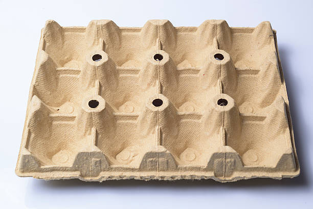 تصویر 1 از قیمت خرید شانه تخم بوقلمون مقوایی با فروش عمده