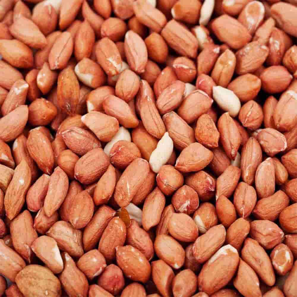 تصویر 2 از خرید و قیمت انواع بادام زمینی خام