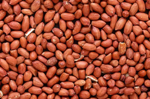 خرید و قیمت انواع بادام زمینی خام