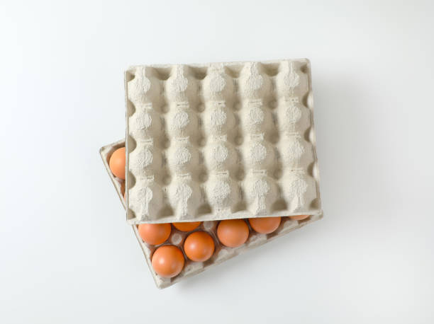 خرید و قیمت شانه تخم مرغ مقوایی ماکی کالا + فروش عمده