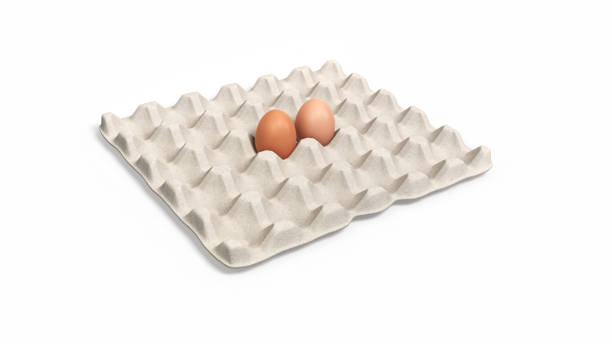 تصویر 2 از خرید و قیمت شانه تخم مرغ مقوایی ماکی کالا + فروش عمده