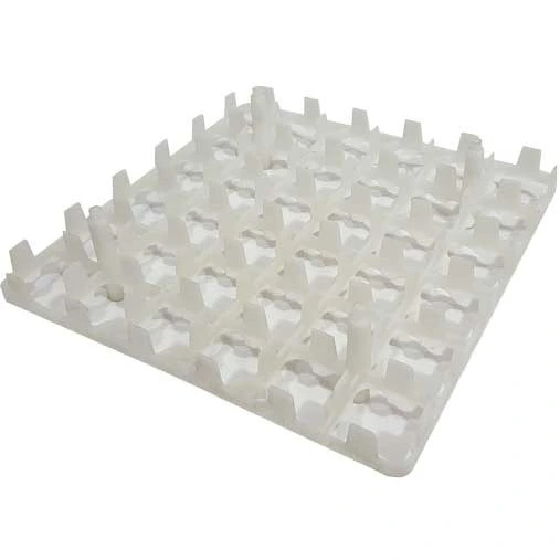 تصویر 4 از خرید شانه تخم قرقاول جوجه کشی + قیمت فروش استثنایی