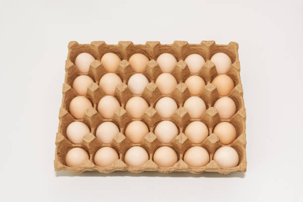 تصویر 4 از قیمت خرید شانه مقوایی تخم مرغ + فروش ویژه