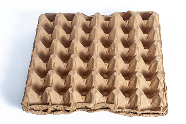 قیمت خرید شانه مقوایی تخم مرغ + فروش ویژه