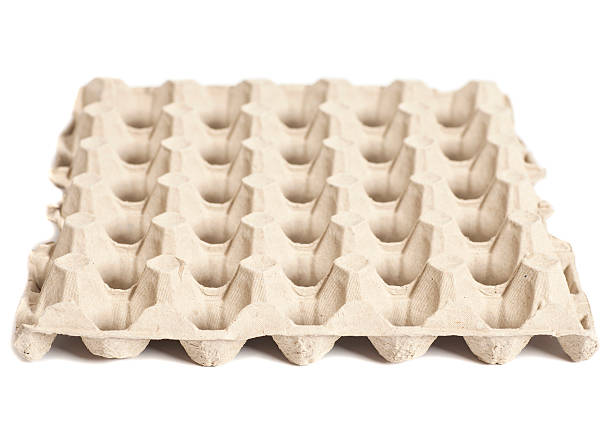 تصویر 1 از قیمت خرید شانه مقوایی تخم مرغ + فروش ویژه