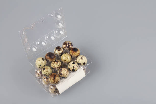 تصویر 2 از فروش شانه تخم بلدرچین جوجه کشی + قیمت خرید به صرفه