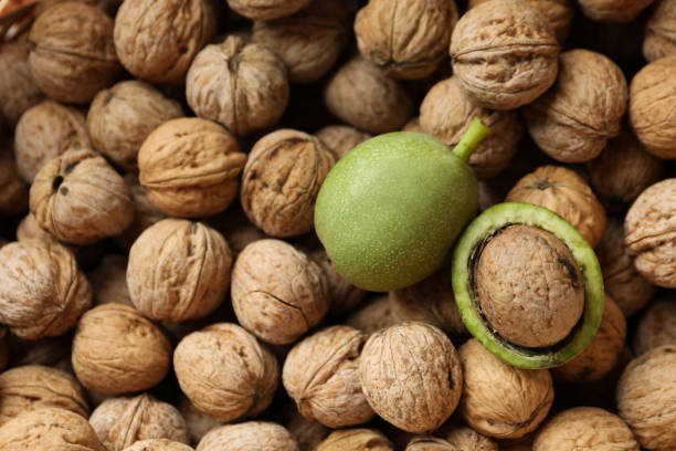 فروش گردو پوست کاغذی + قیمت خرید به صرفه