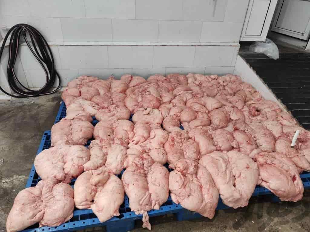 تصویر 2 از قیمت دنبه گوسفندی تازه + خرید باور نکردنی