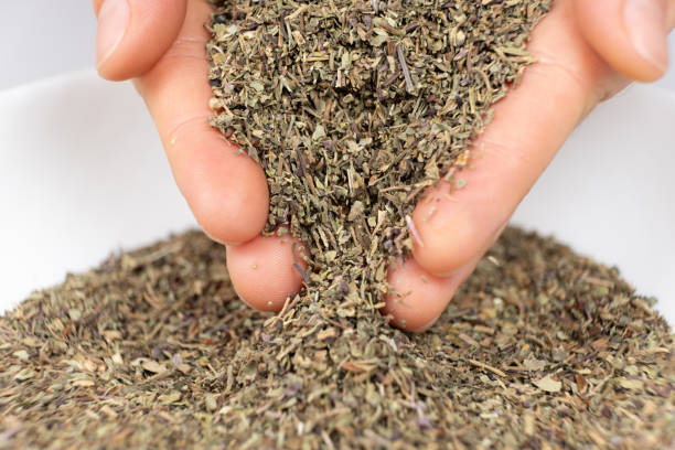 تصویر 3 از خرید و فروش آویشن شیرازی عمده با شرایط فوق العاده