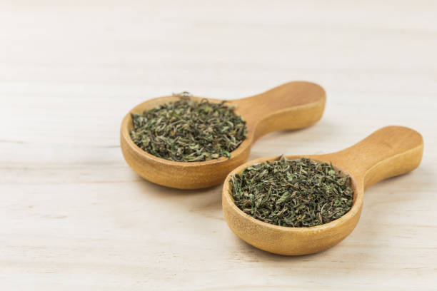 تصویر 5 از قیمت آویشن کاکوتی مرغوب با کیفیت ارزان + خرید عمده