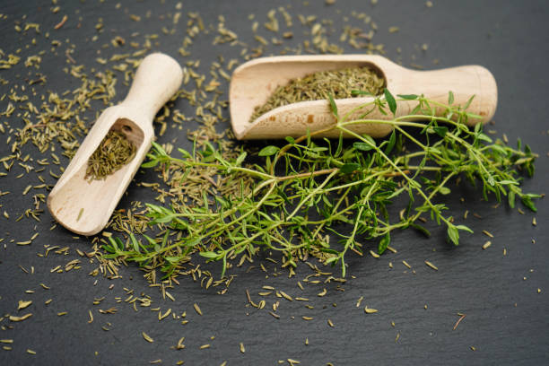 تصویر 3 از قیمت آویشن کاکوتی مرغوب با کیفیت ارزان + خرید عمده