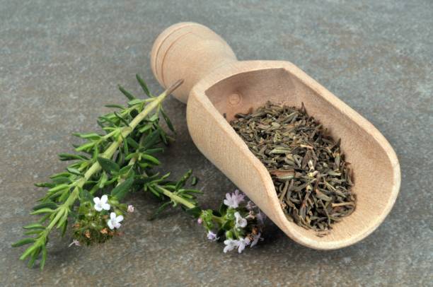 تصویر 1 از قیمت آویشن کاکوتی مرغوب با کیفیت ارزان + خرید عمده