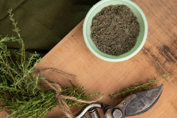 تصویر 4 از فروش آویشن کوهی صادراتی + قیمت خرید به صرفه