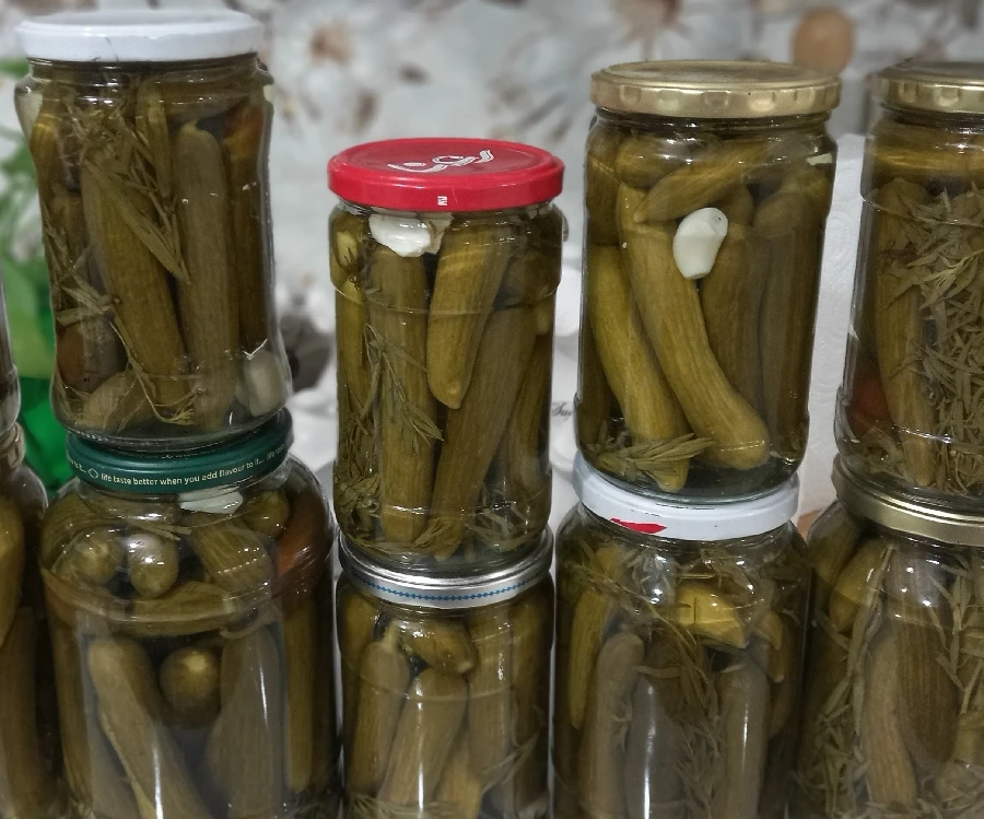 قیمت خرید خیارشور صادراتی تازه با فروش عمده