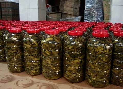 تصویر 2 از قیمت خیارشور بدون سرکه با کیفیت ارزان + خرید عمده