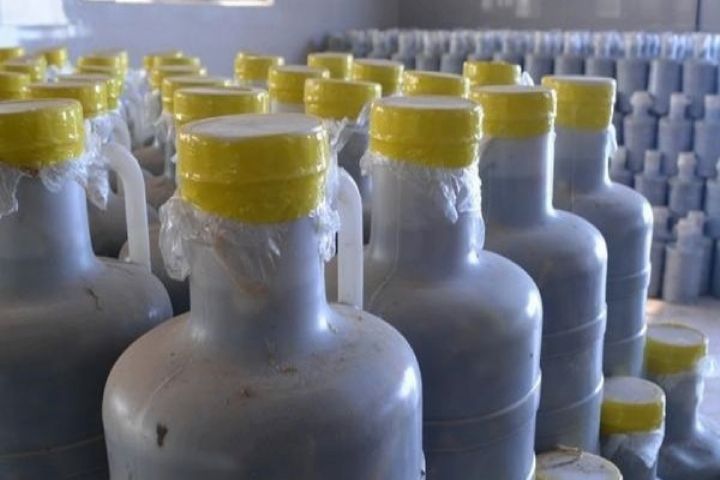 تصویر 1 از قیمت خیارشور بدون سرکه با کیفیت ارزان + خرید عمده