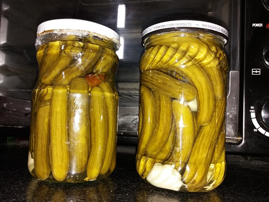 تصویر 1 از فروش خیارشور ارگانیک + قیمت خرید به صرفه