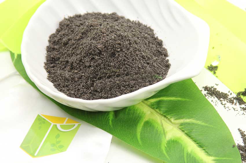 قیمت سیاه دانه پودر شده + خرید باور نکردنی