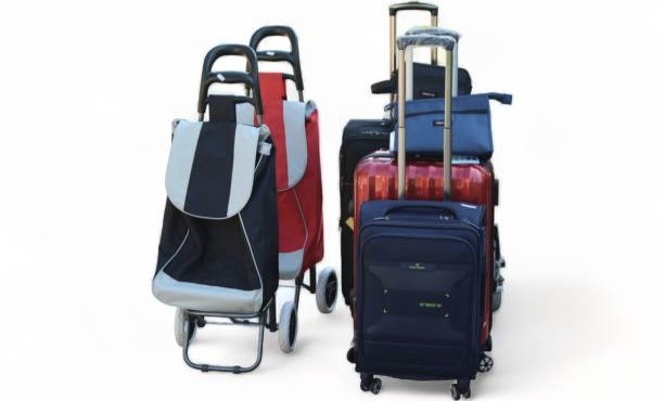 تصویر 4 از خرید چرخ دستی خرید مدل تاشو + قیمت فروش استثنایی