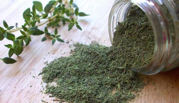 تصویر 1 از فروش ویژه آویشن شیرازی برگ صادراتی + کیفیت ممتاز