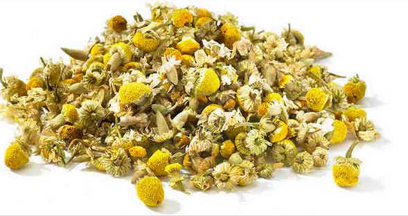 تصویر 1 از فروش بابونه سفید صادراتی با عطر آرامش‌بخش طبیعی