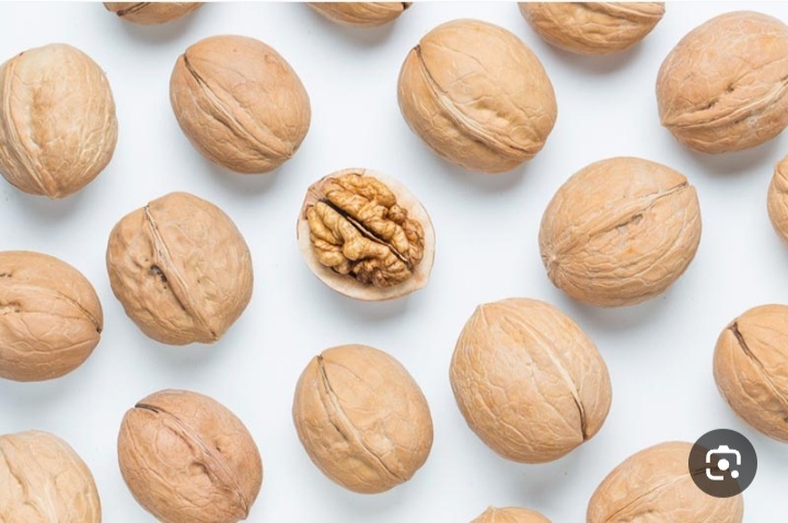 خرید عمده گردوی بلغاری بدونه شکستگی + فروش عمده از باغدار