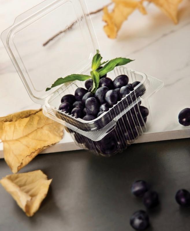 خرید و قیمت ظرف یکبار مصرف دلی نیلو ۲۵۰ سی سی + فروش ویژه