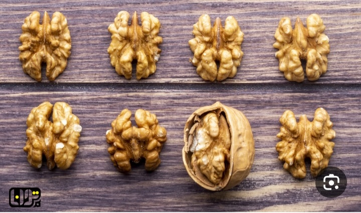 خرید عمده گردوی بلغاری با عطر طعم واقعی + فروش عمده با تضمین تازگی