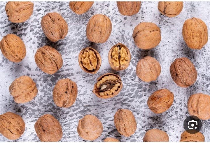 خرید عمده گردوی بلغاری دست چین شده + فروش عمده مستقیم