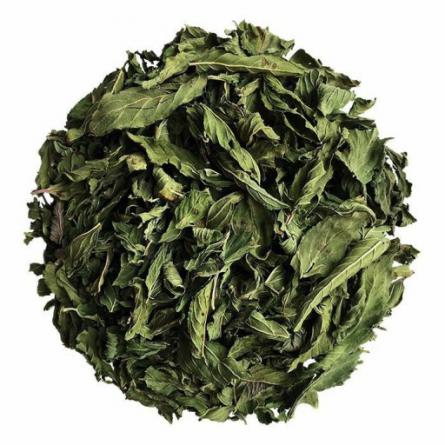 تصویر 3 از عمده فروشی نعناع فلفلی برگ صادراتی + عطر خنک طبیعت ایران