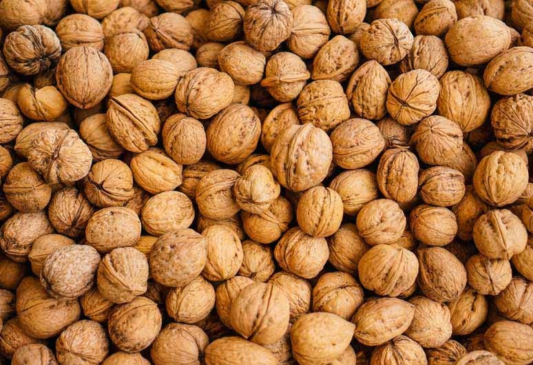 تصویر 5 از خرید و قیمت عمده گردو با پوست کاغذی اعلاء اسکو آذربایجان مستقیم از کشاورز + با تخفیف ویژه