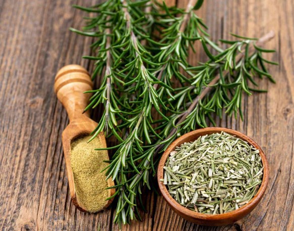 فروش برگ رزماری