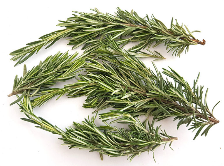 تصویر 4 از فروش عمده رزماری برگ صادراتی + طعم سلامت برای بازار جهانی