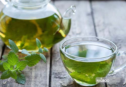 تصویر 2 از فروش و خرید عمده دمنوش نعناع فلفلی + ضمانت کیفیت