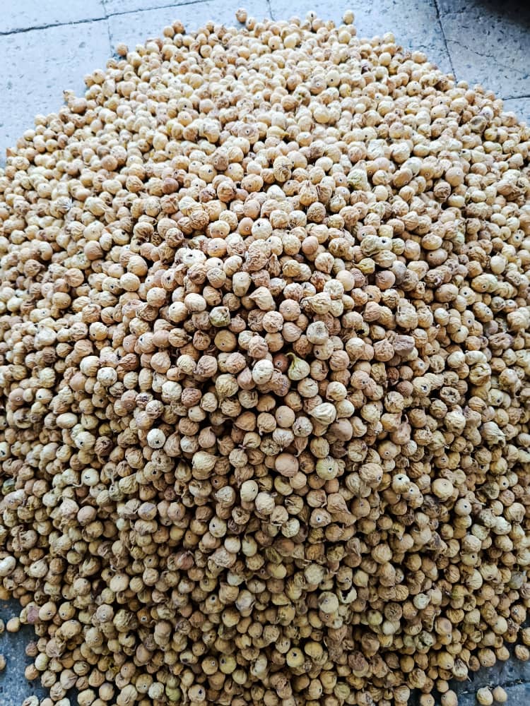 خرید انجیر خشک A معمولی + خرید مستقیم از تامین کننده