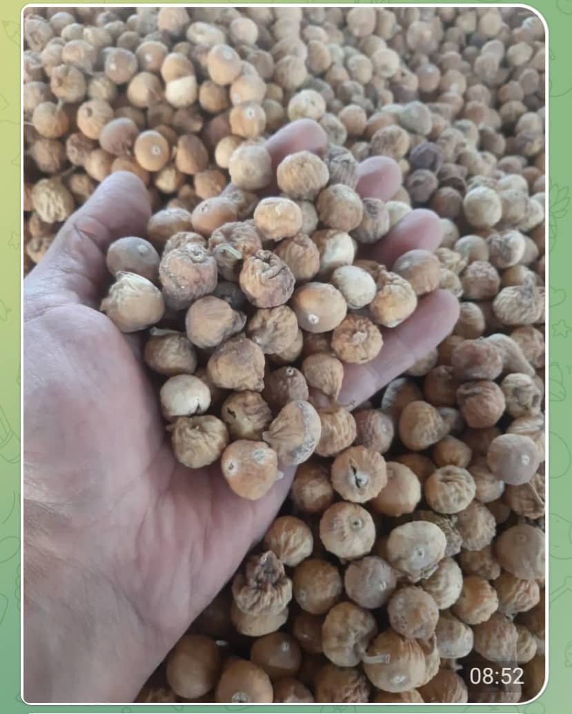 فروش انجیر سایز ریز B + مناسب برای پودر کردن