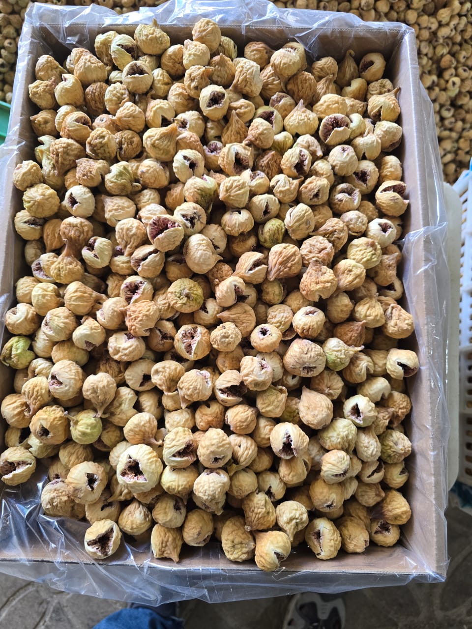 خرید عمده انجیر نیمه شکفته (غنچه) + عرضه مستقیم از باغ