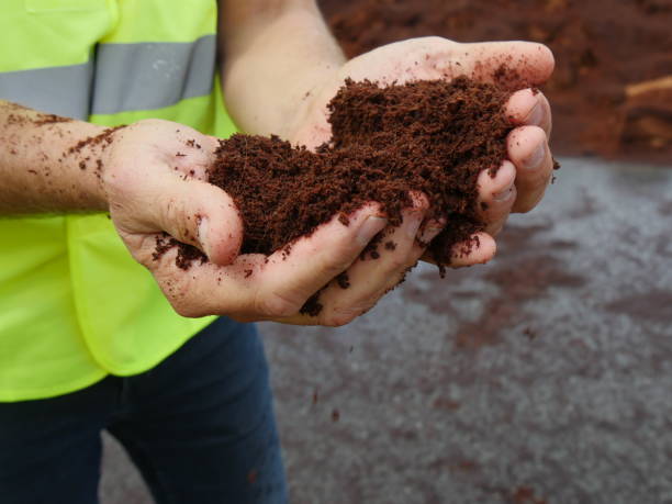 قیمت کود ارگانیک ورمی کمپوست مرغوب با کیفیت ارزان + خرید عمده