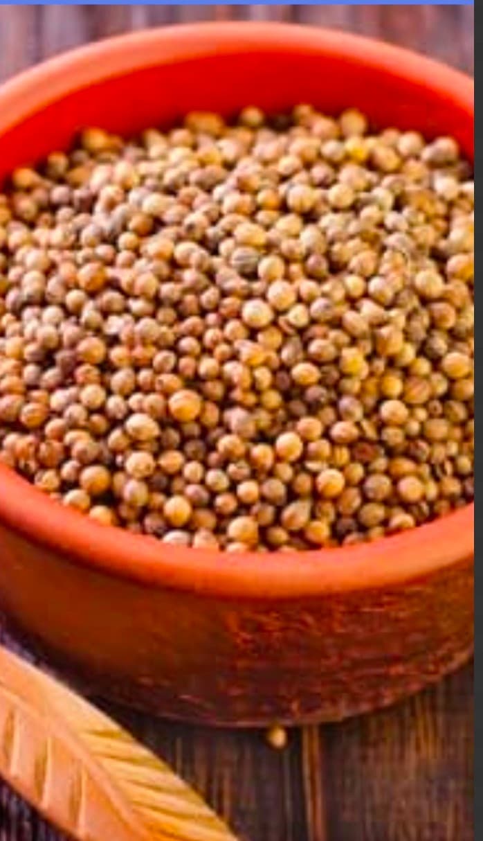 عرضه و خرید تخم گشنیز فله مناسب بسته بندی صادراتی