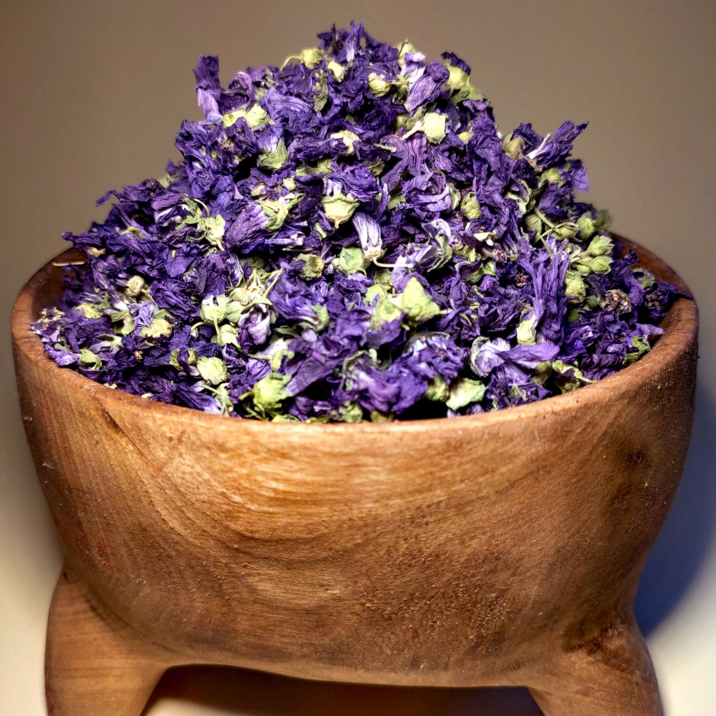 قیمت فروش عمده ختمی خبازی (پنیرک) خشک + داروی طبیعی برای سرفه