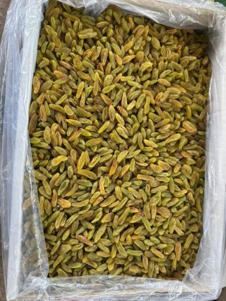 قیمت روزانه کشمش سبز + فروش نقدی