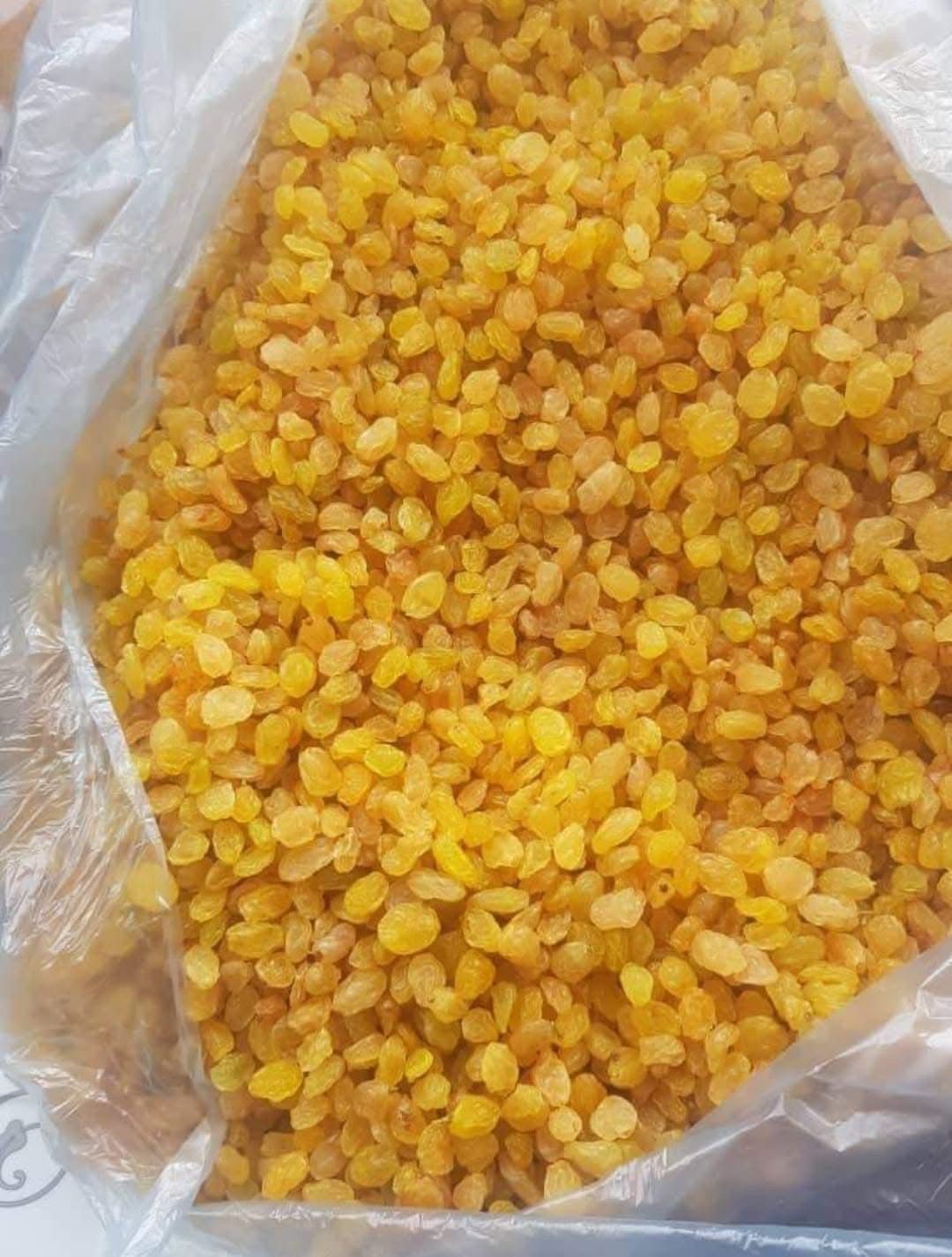 کشمش زرد گلدن ممتاز + فروش نقدی