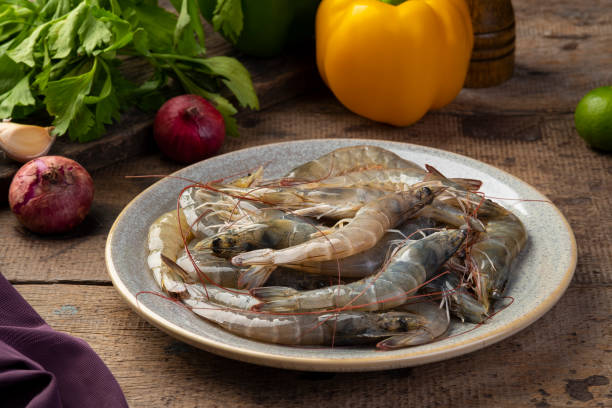 قیمت خرید میگو جنوب صادراتی با فروش عمده