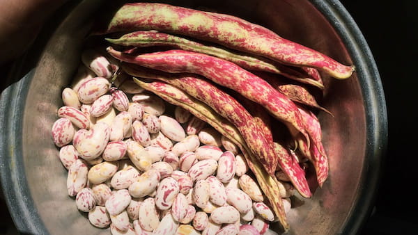 تصویر 2 از لوبیا چیتی درجه یک با کیفیت تضمینی