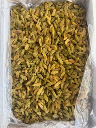 کشمش سبز قلمی ممتاز + فروش عمده