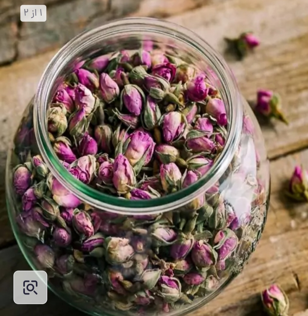 خرید عمده غنچه گل محمدی خشک طبیعی از مزارع ایران